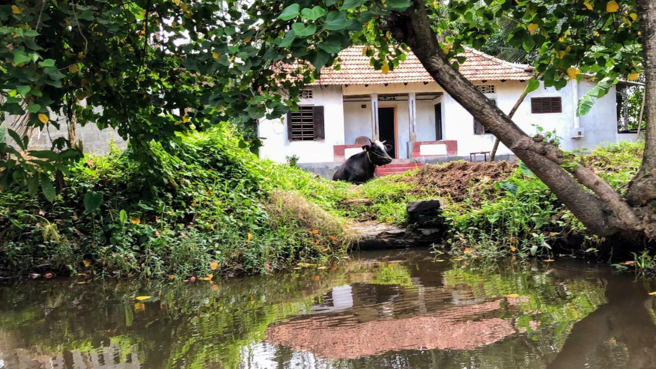 Ayana'S Homestay Alappuzha Exterior foto